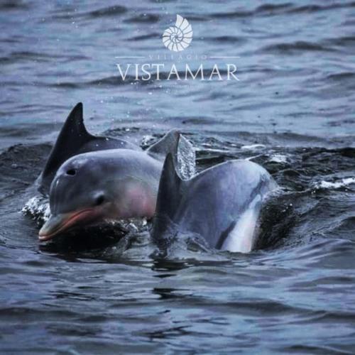 Villagio Vistamar Ilha Comprida Exteriör bild